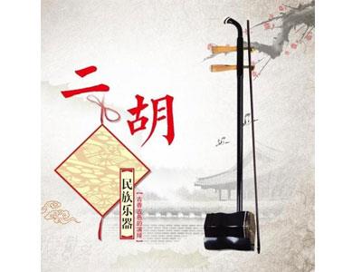 招聘泉州二胡家教老师